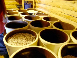 Barrels hold natural food stores at the therapeutic community of Ionia in Kasilof.